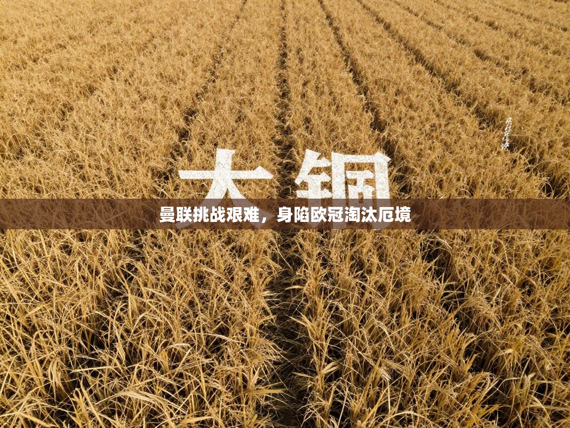 曼联挑战艰难,身陷欧冠淘汰厄境 第1张